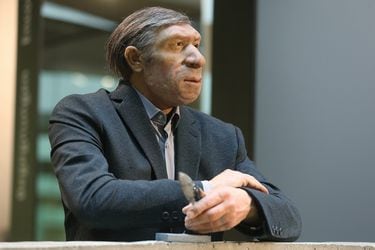 Los neandertales se extinguieron hace 40.000 años, pero nunca ha habido más de su ADN en la Tierra 