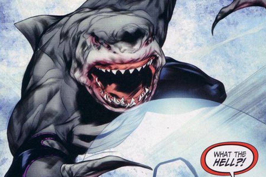 kingshark