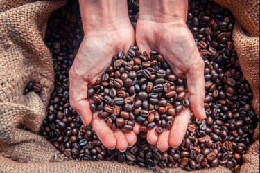 Alza mundial del café llega a Chile