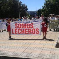 Lecheros se manifestaron en Osorno y emplazaron a Piñera por soluciones para el sector