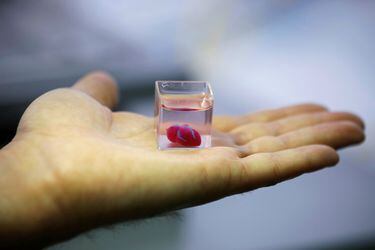 A transparent cup containing what Israeli scientists from Tel Aviv University say is the world's first 3D-printed, vascularised engineered heart, is seen during a demonstration at a laboratory in the university, Tel Aviv