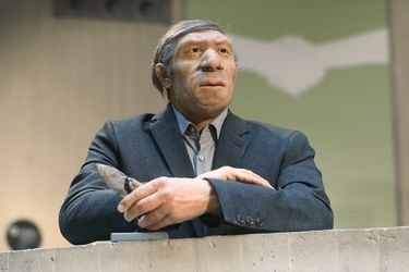 Un sorprendente estudio revela cuánto ADN neandertal existe todavía en los humanos modernos 