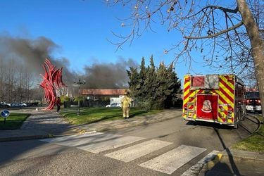 Incendio afectó al laboratorio de Neurociencias de la Universidad de Talca: se ordenó la evacuación del recinto