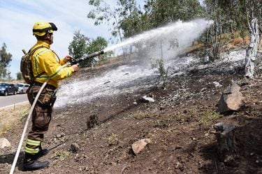 Presentan estrategia de prevención de incendios forestales en Parque Metropolitano de Santiago