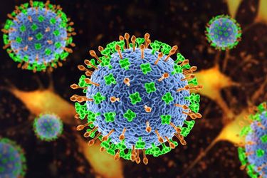 ¿Qué es el Virus Nipah y cuáles son sus síntomas?