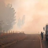 Autoridades llaman a evacuar tres sectores de Victoria tras avance de incendio forestal que ha devastado 370 hectáreas