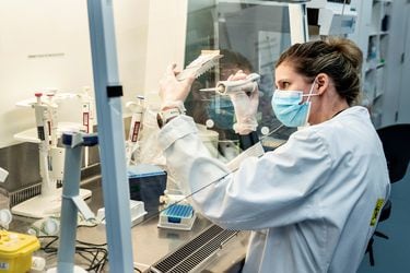 Engañando al nuevo coronavirus con un falso “apretón de manos”: científicos inician desarrollo de prometedor fármaco 