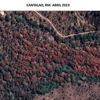 Impactantes imágenes satelitales revelan la rapidez con que se está secando el bosque nativo en la RM