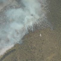 Incendio forestal en María Pinto: CONAF cifra en más de 1.100 las hectáreas afectadas