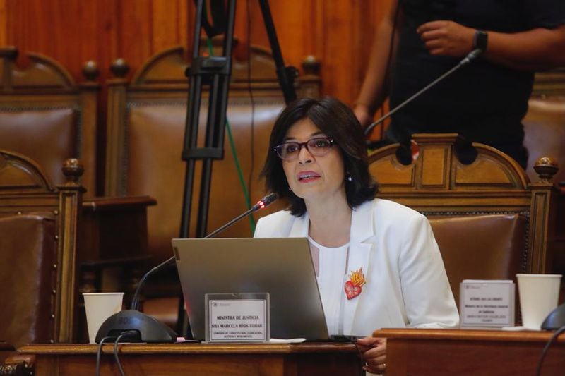 La ministra Marcela Ríos en la sesión de la comisión de Constitución del Senado.