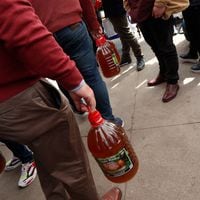 Ad portas del “18″: autoridades fiscalizan cecinas y  bebidas alcohólicas típicas de Fiestas Patrias