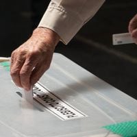 Participación electoral en el plebiscito alcanzó el 84,44%