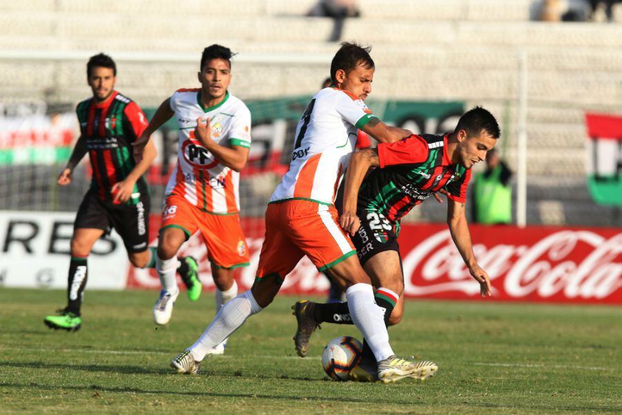 COBRESAL PALESTINO