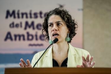 Maisa Rojas tras rechazo a Dominga: “Es una falsa dicotomía el desarrollo social y económico con el cuidado del medioambiente”