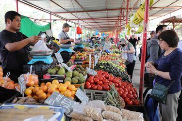 Ministerio de Economía, de Agricultura y Sercotec lanzan fondo para fortalecer las ferias libres