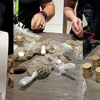 Hombre compró TV de $190.000 con monedas recogidas en playa de Antofagasta