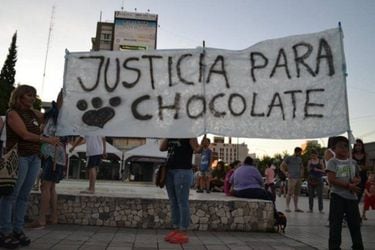 Justicia para Chocolate