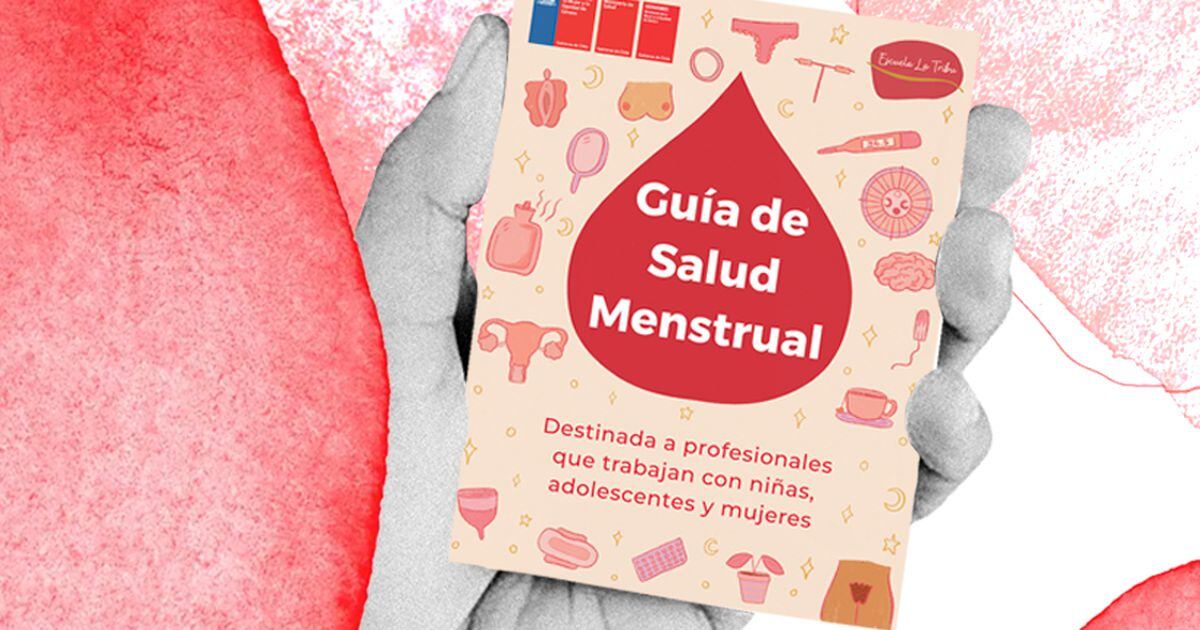Primera Guía Ministerial en Salud Menstrual: “Educar sobre menstruación, es  avanzar en la igualdad entre hombres y mujeres” - La Tercera