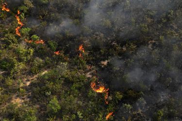 Arduo combate a incendios forestales en el noreste de Brasil en medio de inusual ola de calor invernal