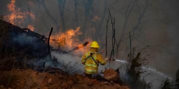 VALPARAISO: Incendio forestal en cuesta Balmaceda