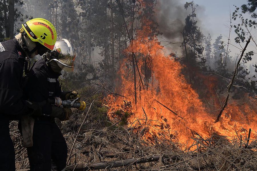 Incendio forestal en Paine