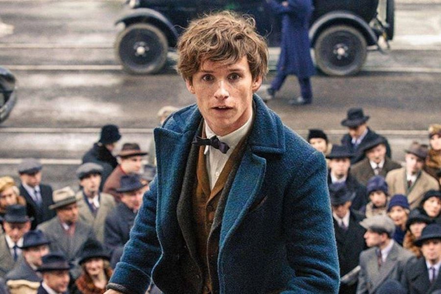 Newt Scamander