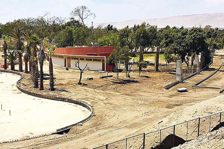 Parque Bicentenario (Arica)