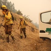 Declaran alerta roja en Curarrehue por incendio forestal en Reserva Nacional Villarrica