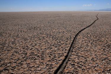 ¿Por qué tanta indolencia ante la emergencia climática?
