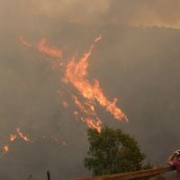Detienen a dos personas por su eventual responsabilidad en incendio forestal en cerro Ñielol