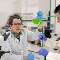 Científicos chilenos desarrollan un antibiótico capaz de inhibir bacterias multirresistentes