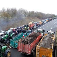 La rebelión de los agricultores que inquieta a la UE: masivas protestas a meses de las elecciones del bloque