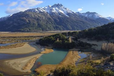 Pionero estudio detecta los mejores lugares en Chile donde especies pueden refugiarse del cambio climático