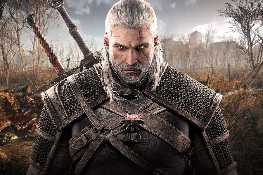 the witcher