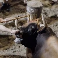El angustiante registro de maltrato hacia un toro en medio de tradicionales fiestas en España