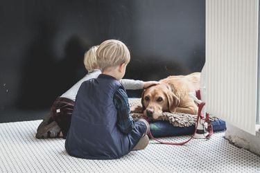 3 consejos para ayudar a tus hijos a superar el duelo por la muerte de una mascota