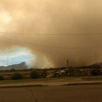 Incendio consume la mitad de nuevo Santuario de la Naturaleza en Maipú