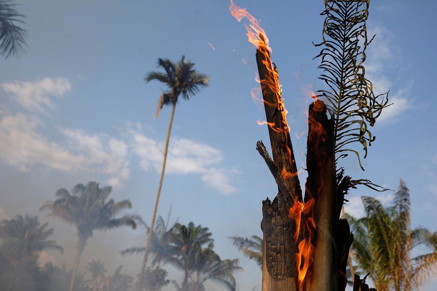 An tract of Amazon jungle burning as it is being cleared by loggers and farmers in Iranduba