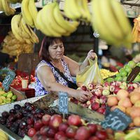 Frutas de Chile afirma que fruta de temporada no fue dañada con el sistema frontal