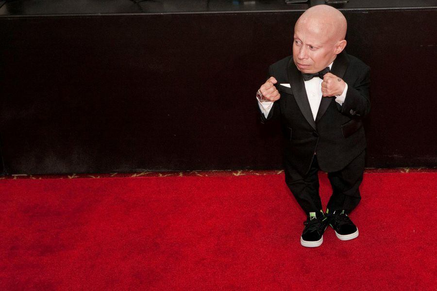 verne troyer