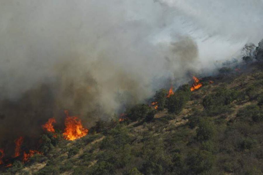 Incendio forestal