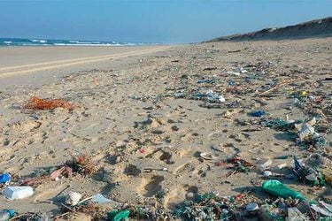 playa-contaminacion