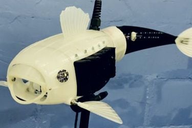 Desarrollan un pez robot que busca reducir la contaminación en el agua