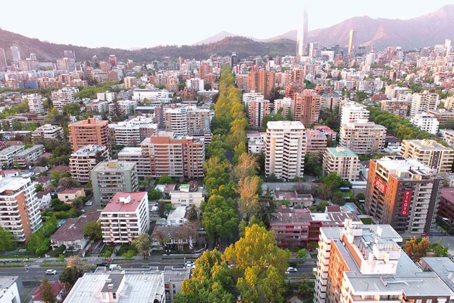 arboles en la ciudad