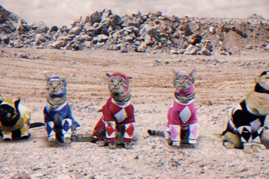 meower rangers