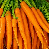 Cremas, ensaladas y queques: ocho recetas para aprovechar las zanahorias