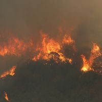 Declaran alerta Roja en Las Cabras por incendio forestal cercano a sectores poblados