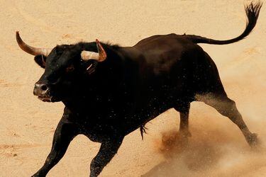 Al menos 17 personas fueron embestidas por un toro en España