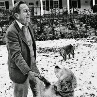 Cheever por sí mismo: diario revela sus secretos y materiales