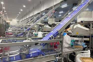 Camanchaca realiza millonaria inversión en nueva planta de producción de jurel congelado